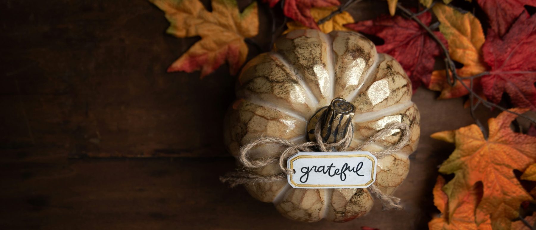 Trading Ashes for Beauty