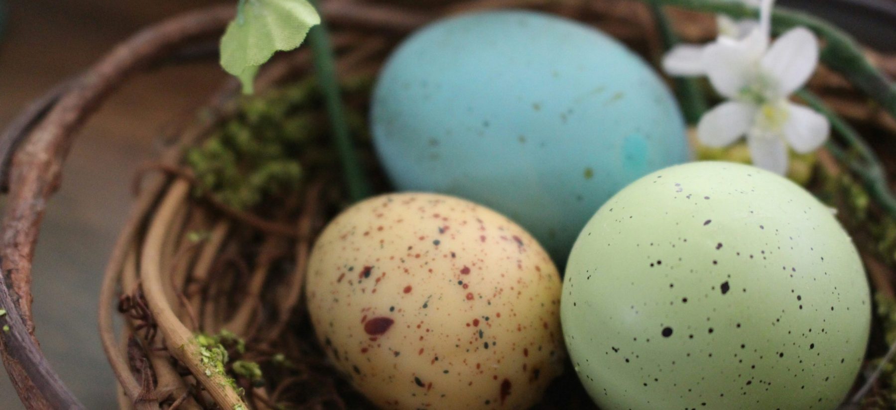 Trading Ashes for Beauty